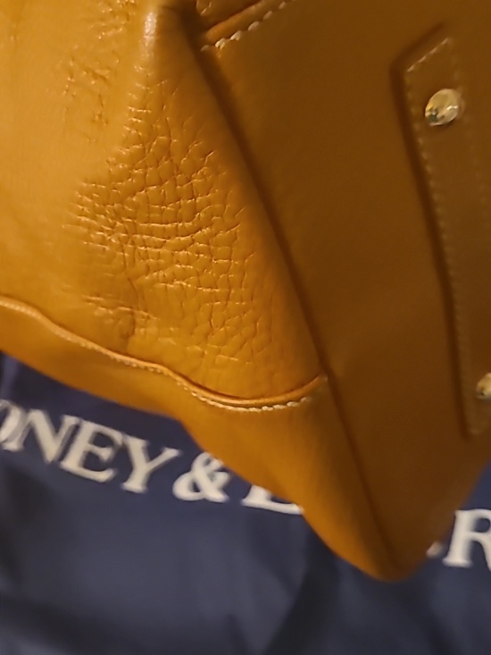 Db - Picture 7 of 14